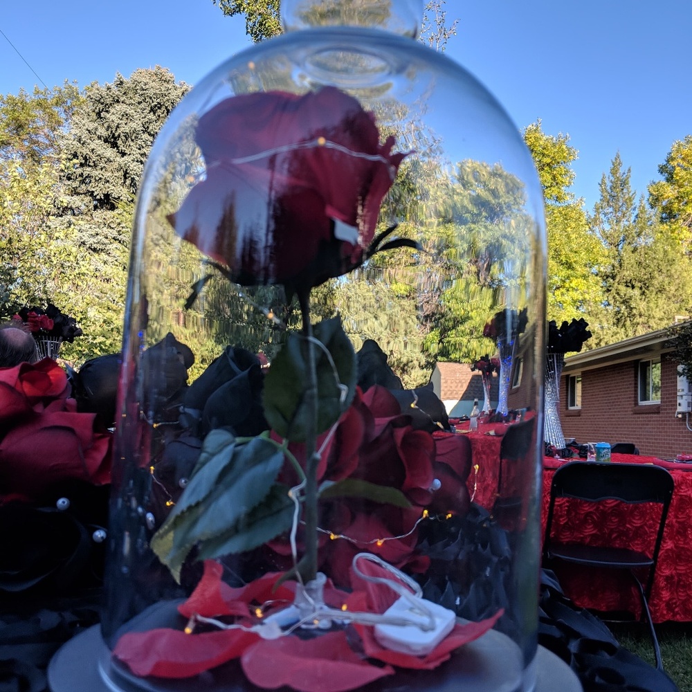 Rose lantern from beauty and the beast
